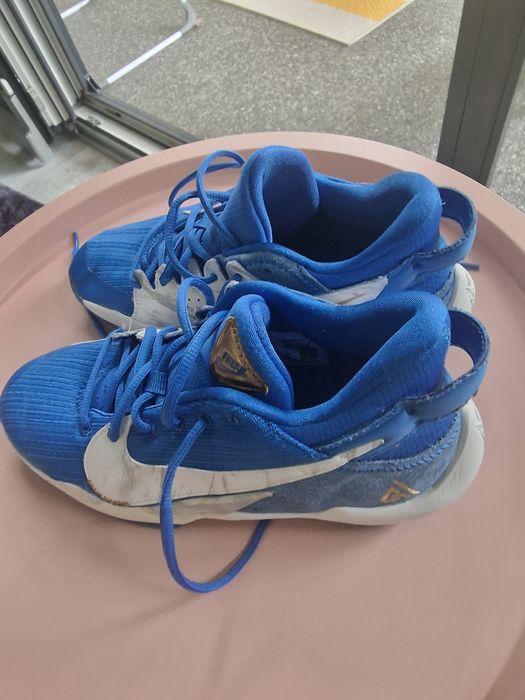 Ghete baschet Nike Zoom Freak 2 SE
