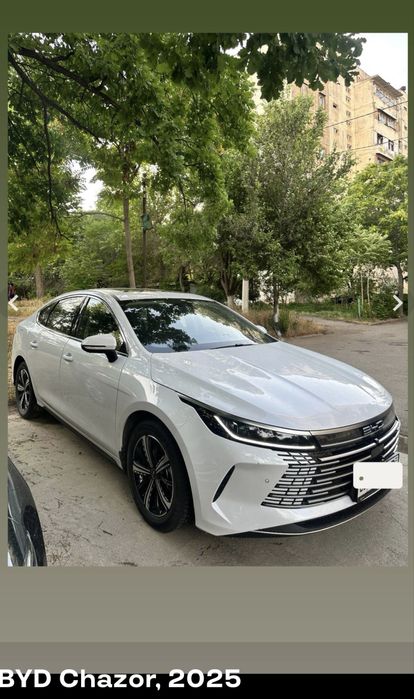 BYD CHazor -2025