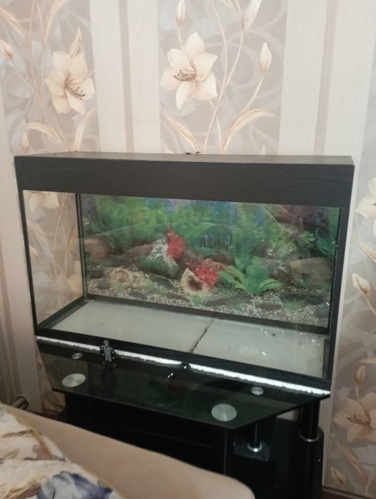 Большой аквариум