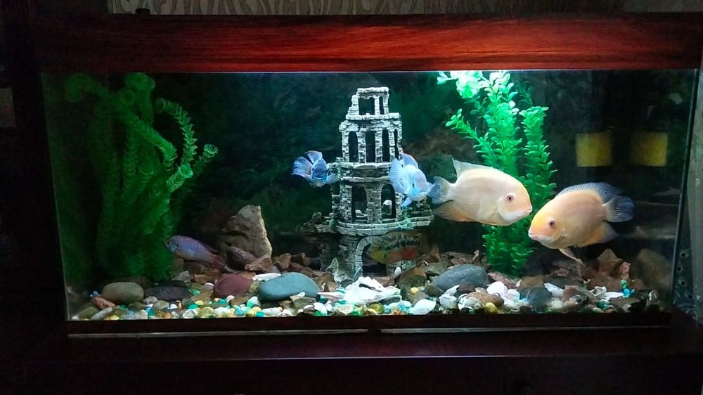 Продаётся АКВАРИУМ