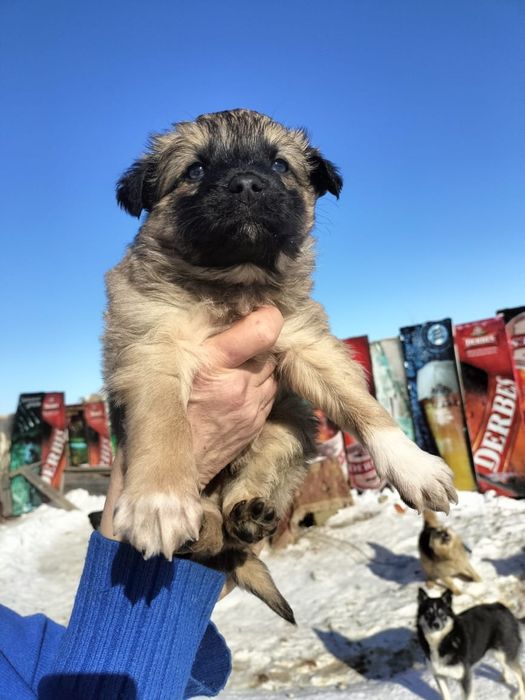 Срочно Ище дом малышам