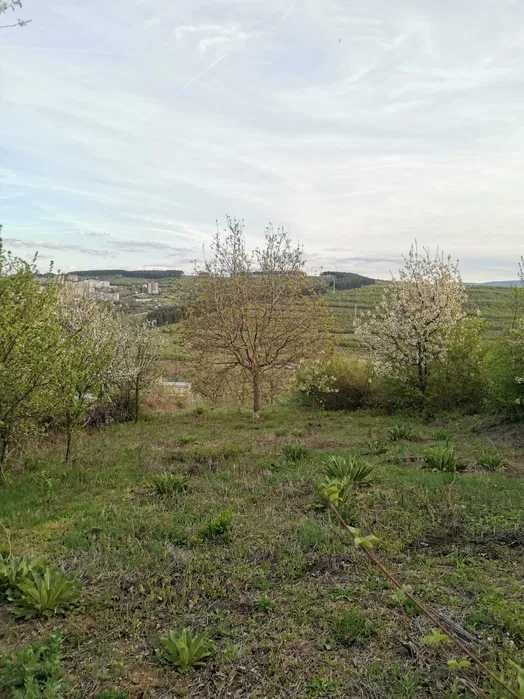 Продава се Къща в Омуртаг - 32 кв.м за 438 €/кв.м - Снимка #4