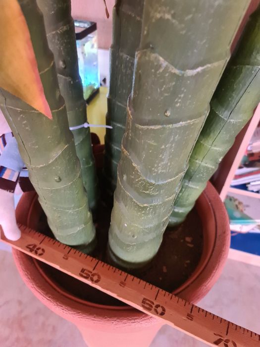 Пальма искусственная 2.7м