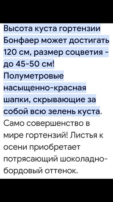 Гортензия Бонфаер. Новые сорта.