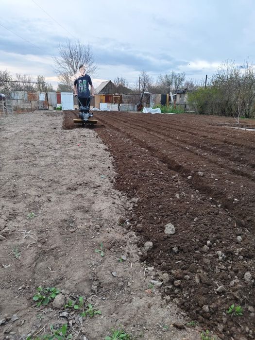 Услуги культиватора