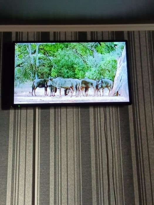 Продается очень большой тв