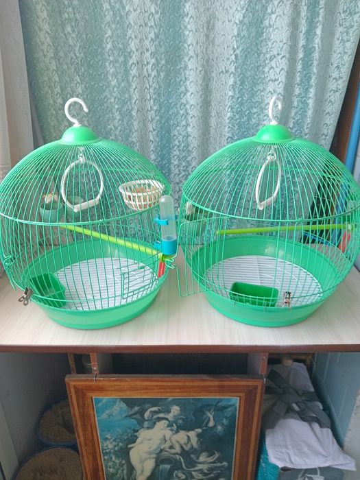 Клетки разные для птиц.