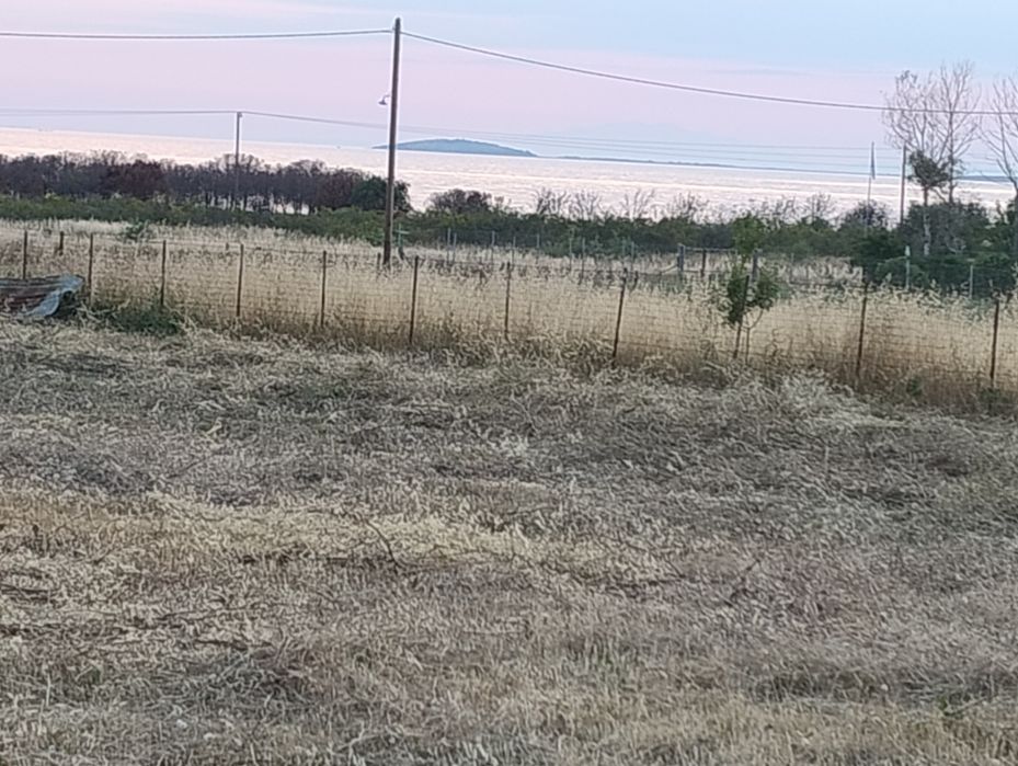 Парцели в Гърция на 350м от  морето ! Гърция Имерос , Родопи