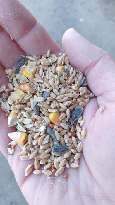 жем отруби с доставкой