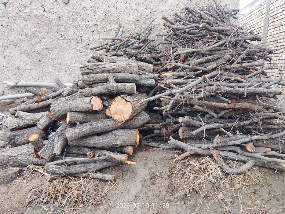 Qurigan o'tinlar sotiladi