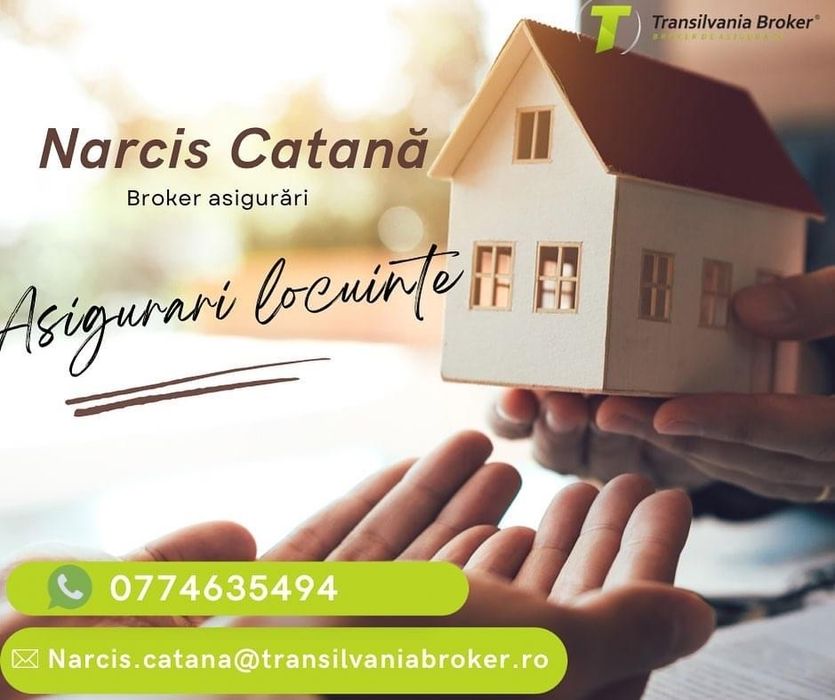 Asigurari de calatorie, RCA, malpraxis PAD, dosare de inmatriculari