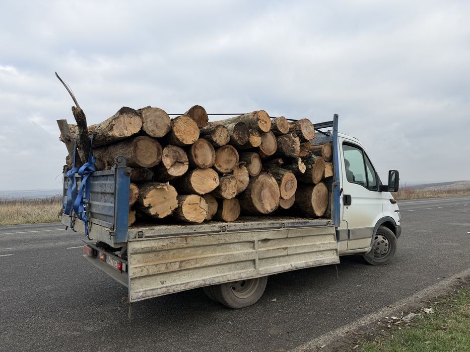 Lemn de foc,  esenta tare