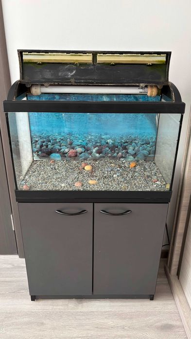 Acvariu 63L cu mobilier – stare foarte bună