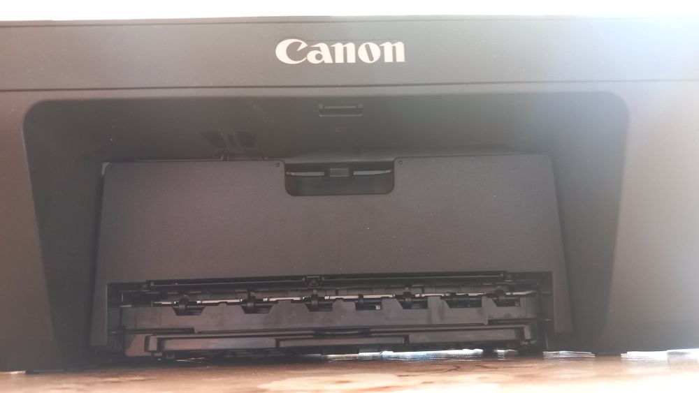 Canon Pixma mg2550s