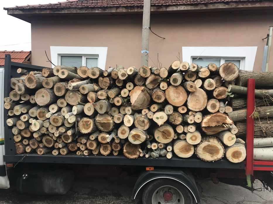 Дърва Кавак 40 evro