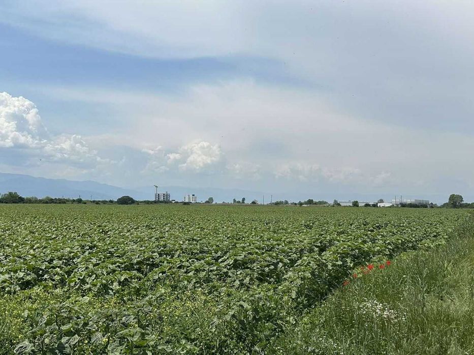 Продава се Парцел в Пловдив, Индустриална зона - Север - 33534 кв.м за 15 €/кв.м - Снимка #9