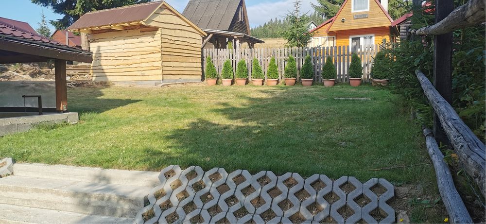 Cabana langa partia de ski bucin harghita