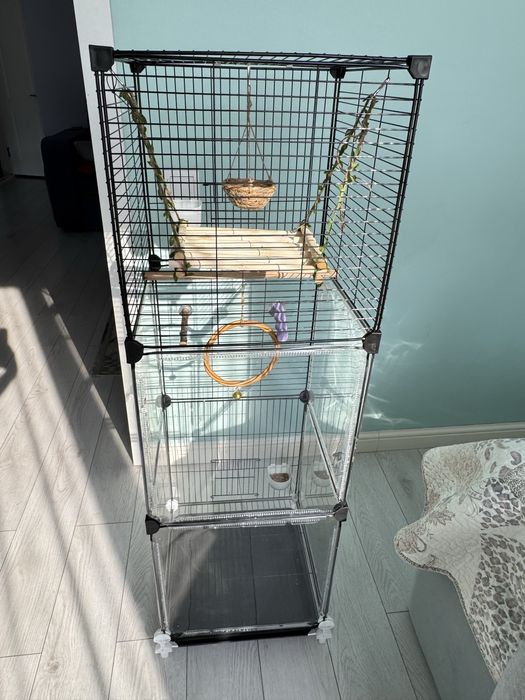 Волнистые попугаи с клетками