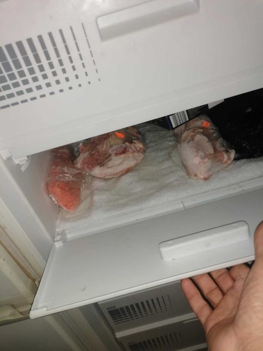 Фризер     SNAIGE