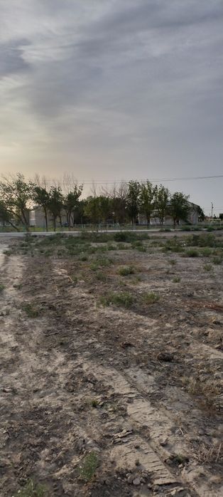 Жер, 12 соток, Сабалак