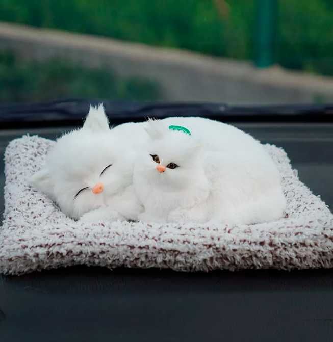Спящые котята для автомобиля