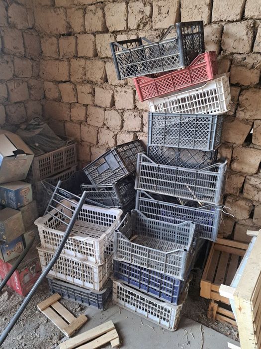 Tekin yashiklar bor kelib opketasila