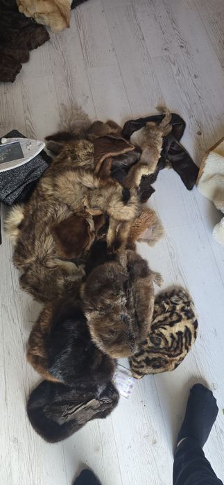 Haine de blana gulere si caciuli