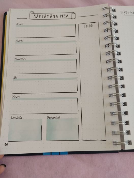 Vând bullet journal