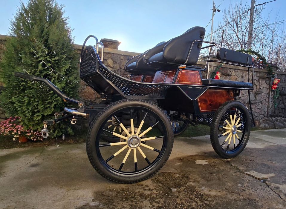 Trasura maraton de vanzare