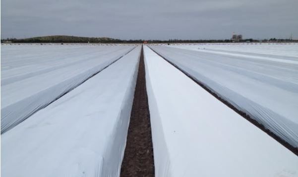 FOLIE MULCIRE =Neagra si Alb/Negru, Aditivata=15,20, 30 sau 50 Microni