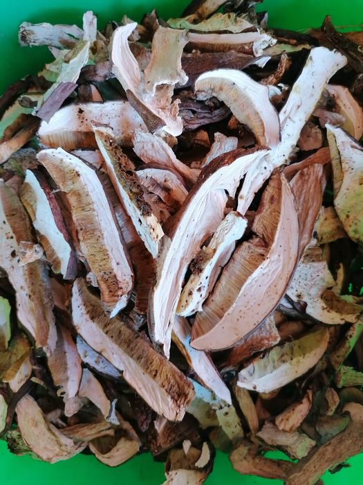 Hribi uscați (pitoance, mânătărci, bureți, ciuperci) - naturali, aromă