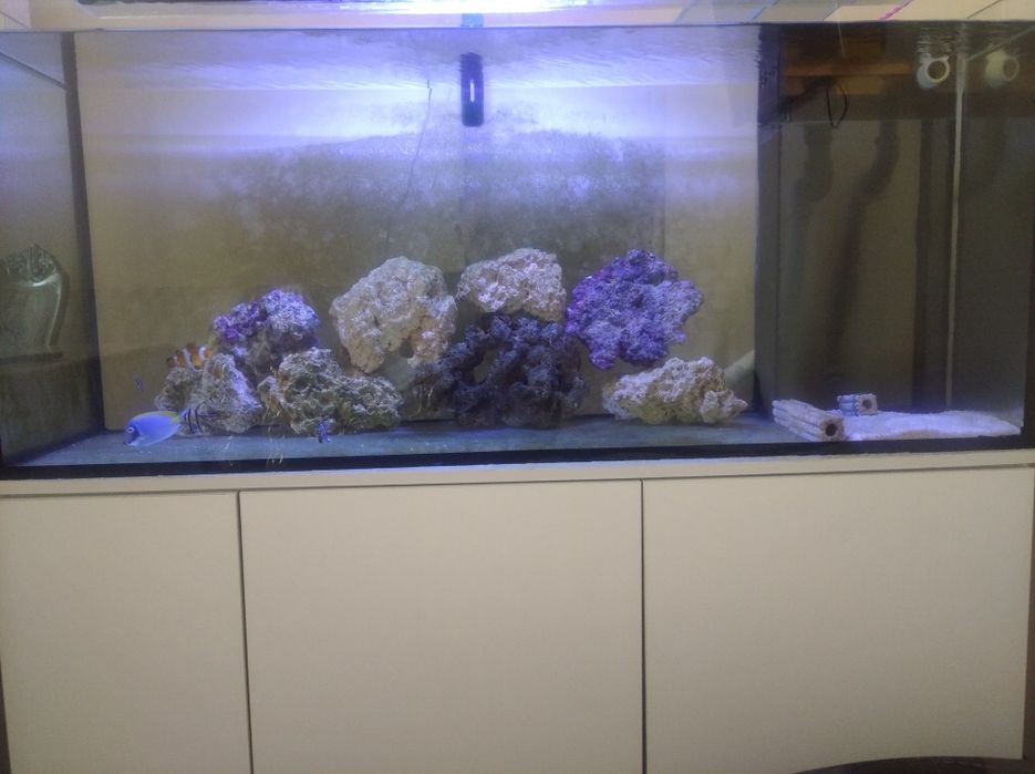 Продаётся морской аквариум 300 л