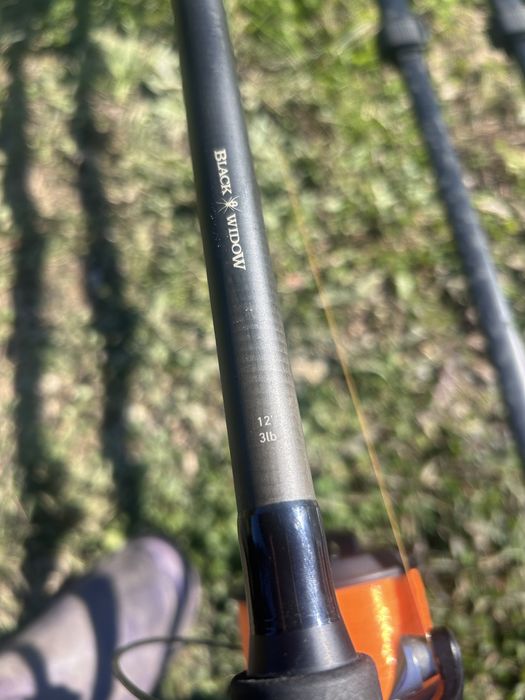 Lansete daiwa black window