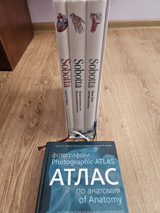 Атласи по анатомия на човека, Sobotta