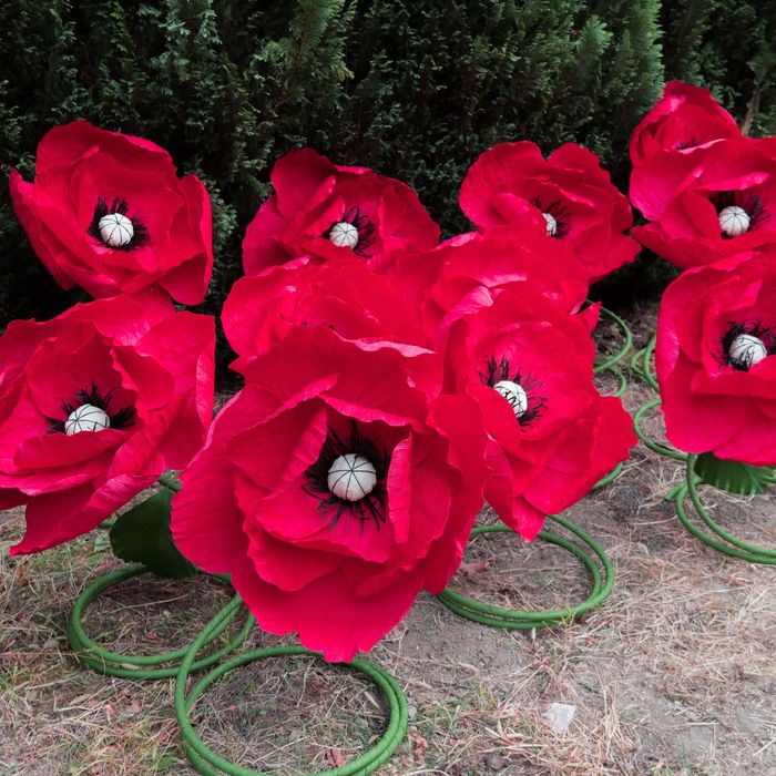 Големи хартиени цветя на стойка, украса за събития, фотосесии, витрини