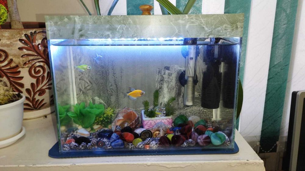Аквариум 15 литров