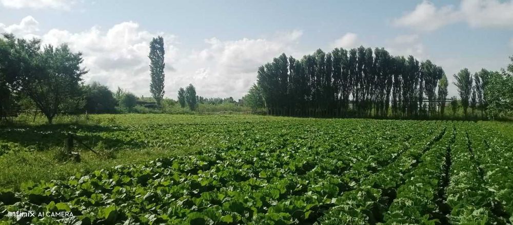 Fayzli uy sotilmoqda