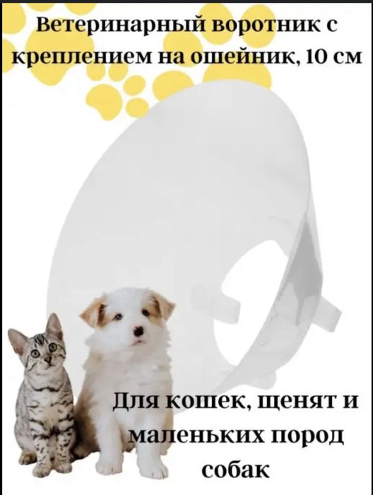 Аксессуары для животных