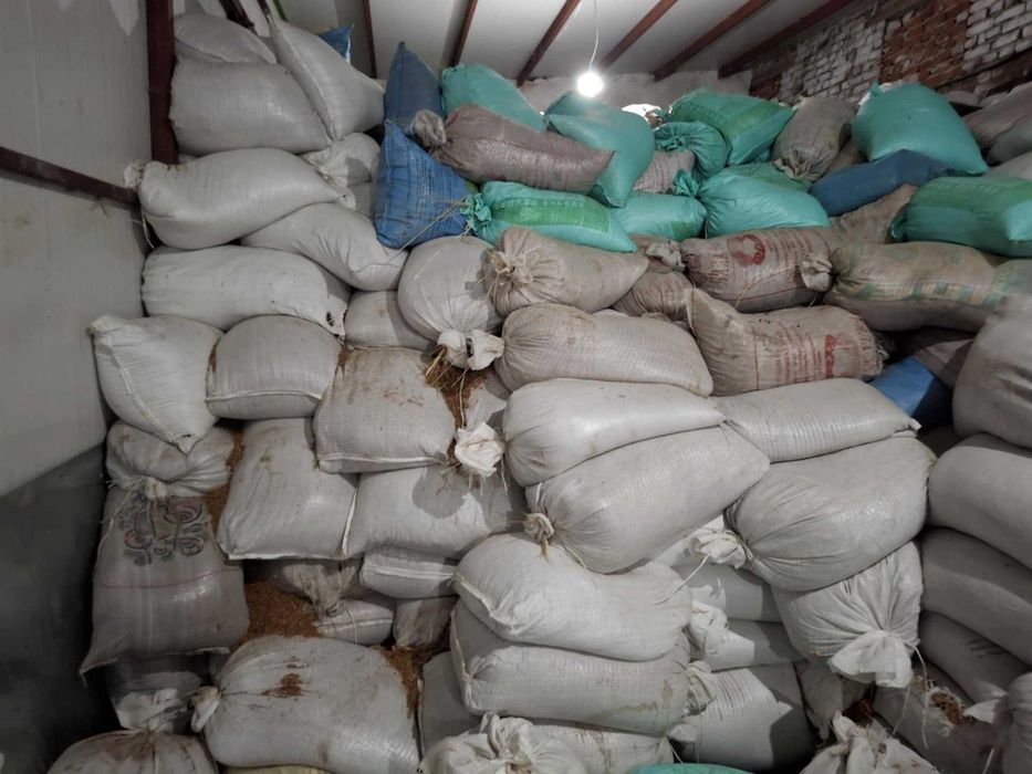 Фураж-метлено семе 0.35ст. за кг.