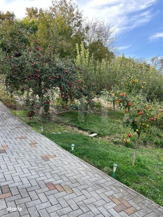 Teren intravilan, podul Jelnei foarte aproape de oras,11 Arii.