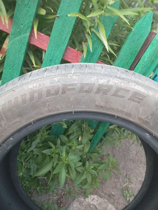 Продам шиный. 10000