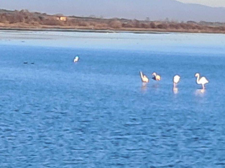 Продава парцел в Гърция, с. Метони