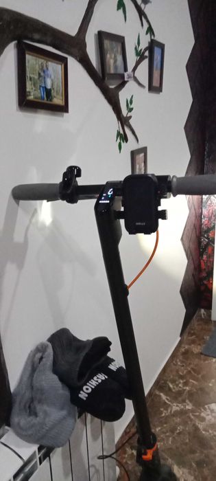 Ninebot f40 2024