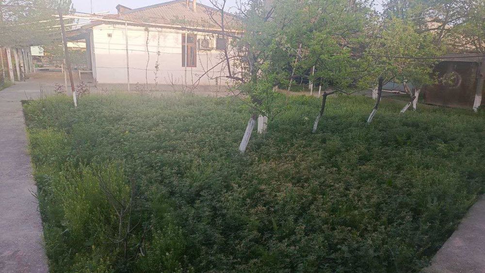 7 xonadan iborat xonadon sotiladi