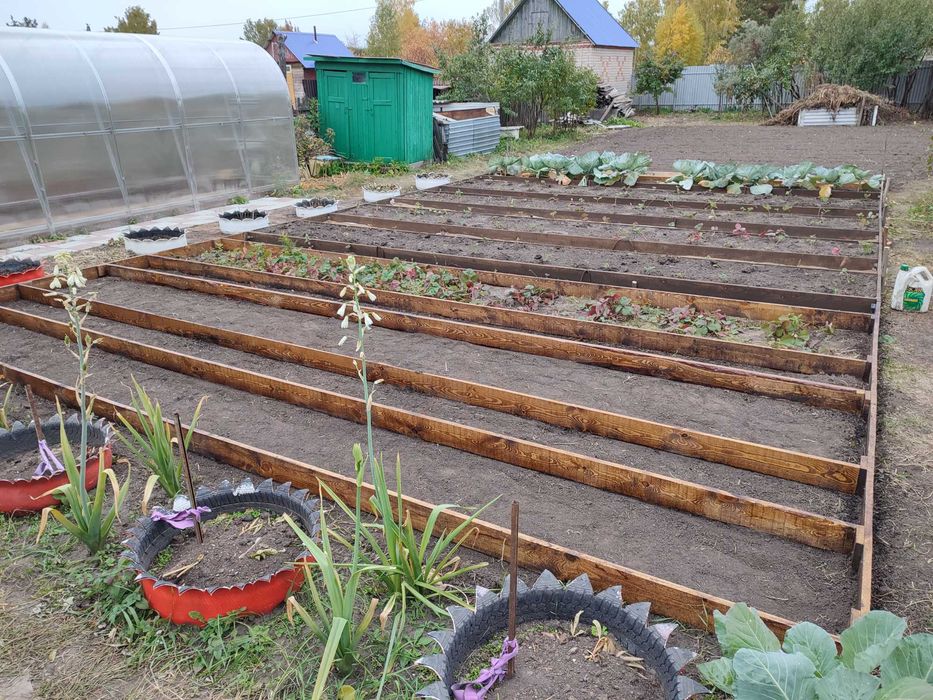 Дача в СТ "Ёлочка"