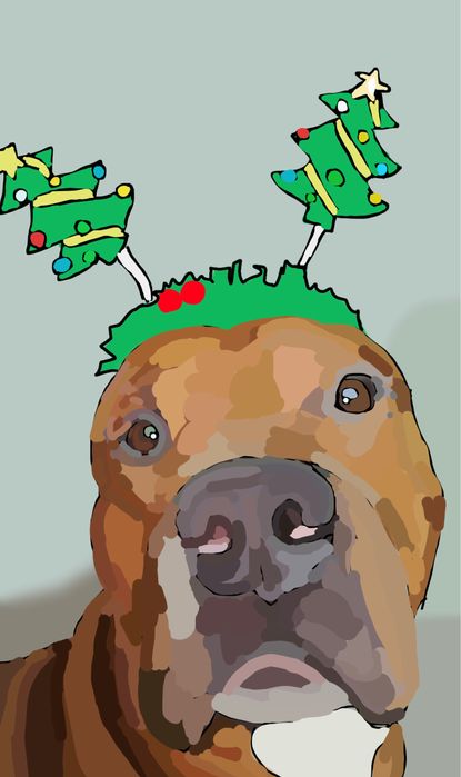 рисую питомцев))