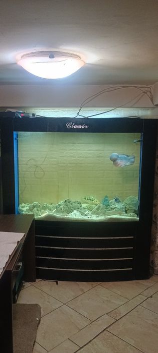 Продавам 1000л.аквариу,999ев.