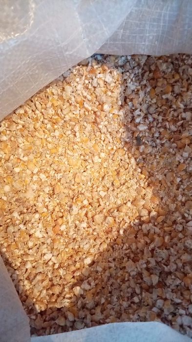 Кукуруза  дробленная