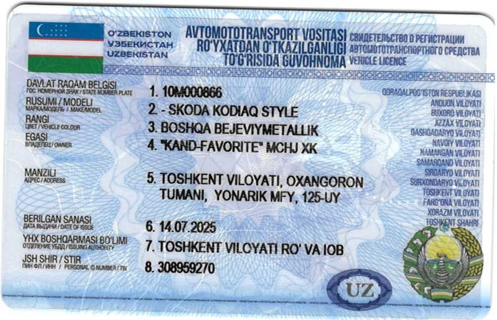 Skoda Kodiaq — в идеальном состоянии!