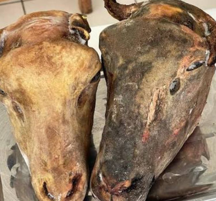 Қойдың басы сатылады